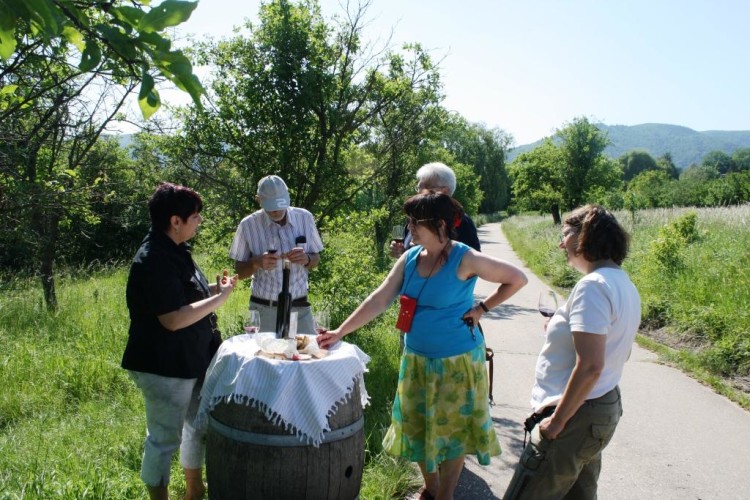 Weinprobe